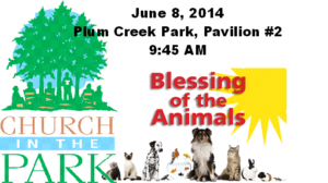 blessing of the animals june 8