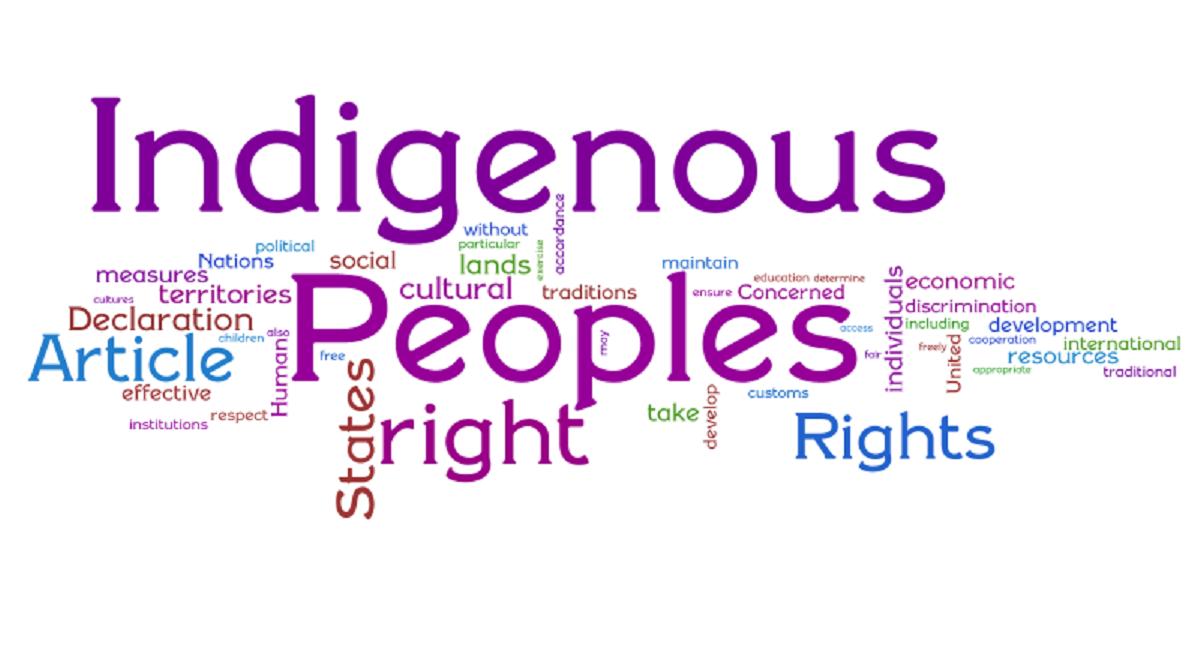 Постоянные форум. Declaration on the rights of Indigenous peoples. The rights of Indigenous people перевод. Rights of Indigenous peoples logo. Un Declaration on the rights of Indigenous peoples Wampum Belt.