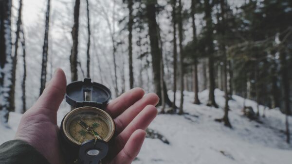 Photo by Tobias Aeppli: https://www.pexels.com/photo/person-holding-compass-in-forest-1125272/