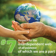 7th principle - interdependent web